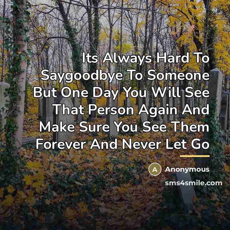 “Its Always Hard To Saygoodbye To Someone But One Day…” quote by Anonymous