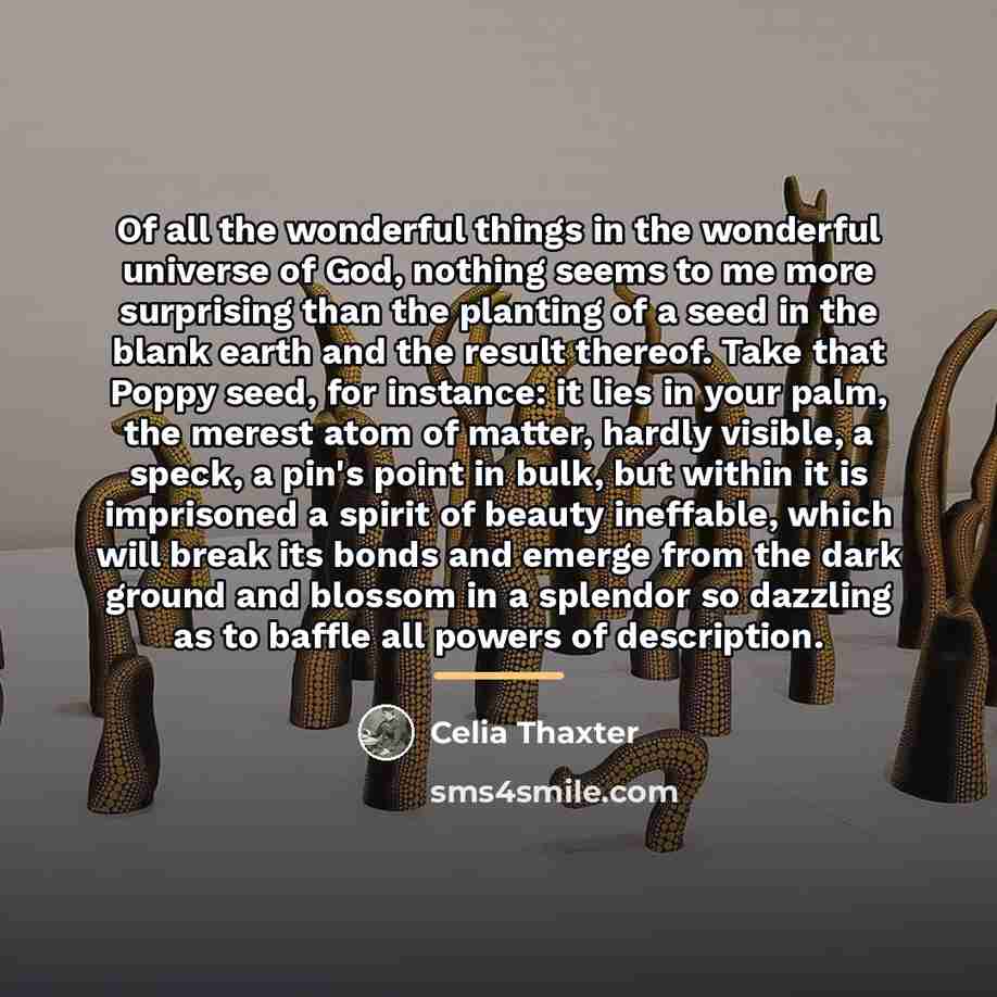 “Of all the wonderful things in the wonderful universe of…” quote by Celia Thaxter