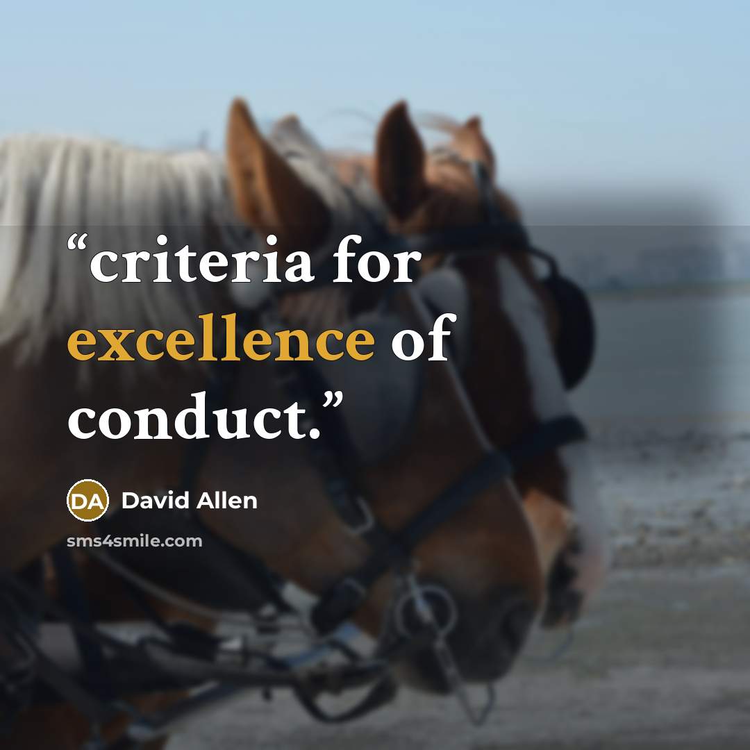“criteria for excellence of conduct.” quote by David Allen