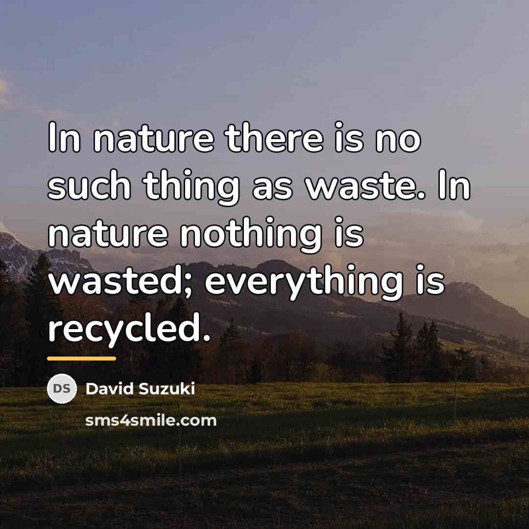 “In nature there is no such thing as waste. In…” quote by David Suzuki