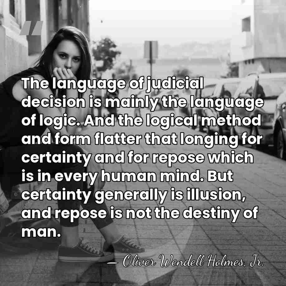 The language of judicial decision is mainly the language of logic. And&hellip; - Oliver Wendell Holmes, Jr.