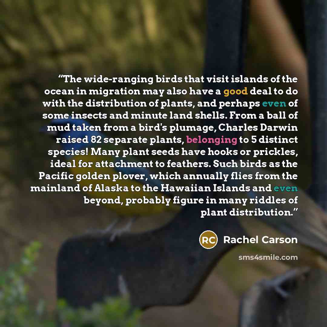 “The wide-ranging birds that visit islands of the ocean in migration may also have a good deal to do with the distribution of plants, and perhaps even of some insects and minute land shells. From a ball of mud taken from a bird's plumage, Charles Darwin raised 82 separate plants, belonging to 5…” quote by Rachel carson