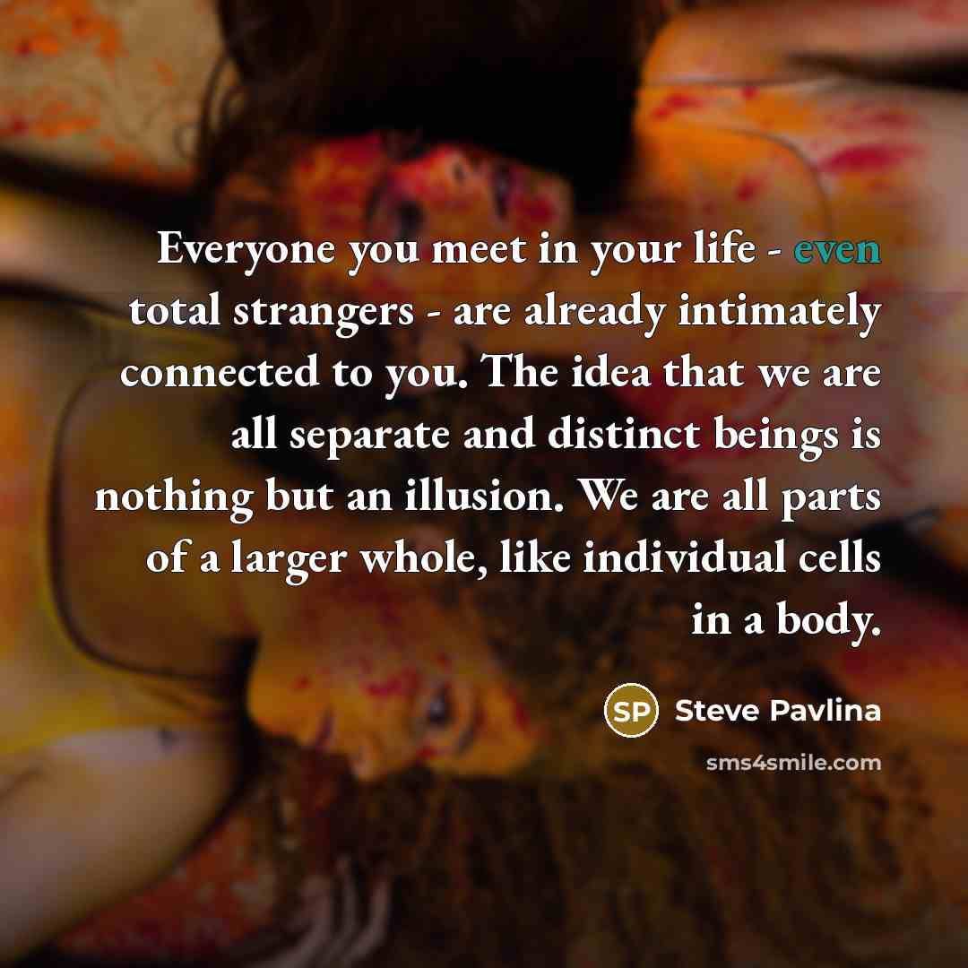 “Everyone you meet in your life - even total strangers…” quote by Steve Pavlina