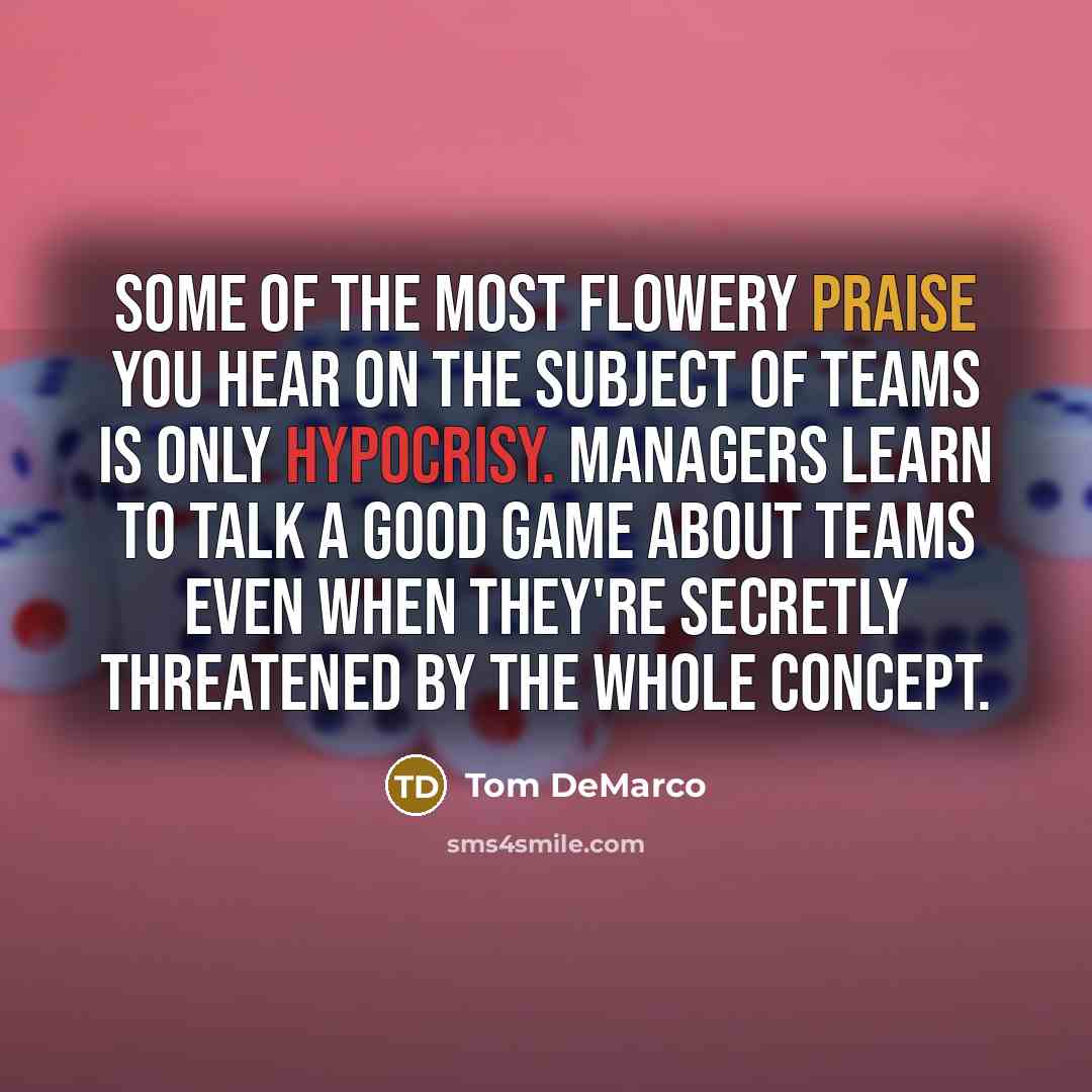“Some of the most flowery praise you hear on the…” quote by Tom DeMarco