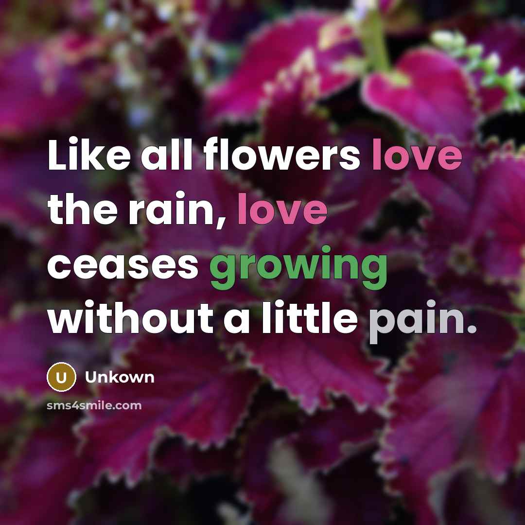“Like all flowers love the rain, love ceases growing without…” quote by Unkown