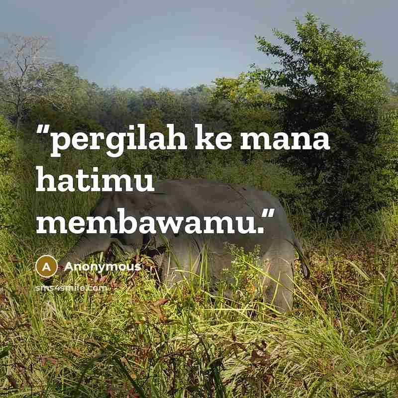 “pergilah ke mana hatimu membawamu.” quote by Anonymous