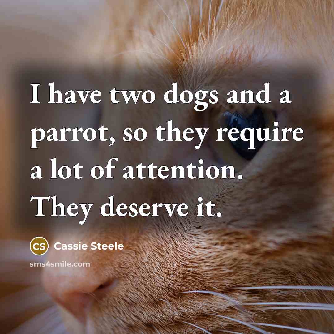 “I have two dogs and a parrot, so they require…” quote by Cassie Steele