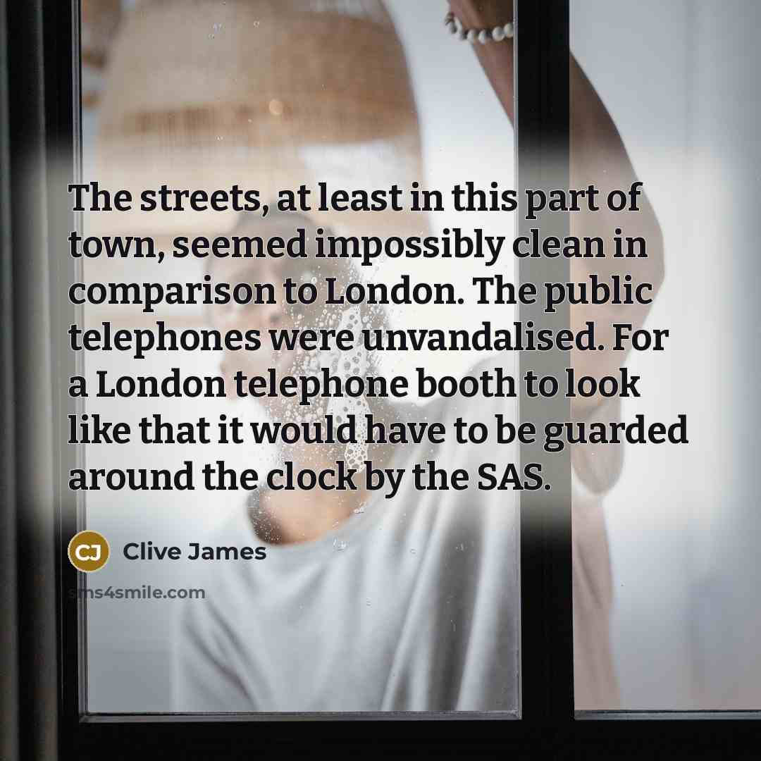 “The streets, at least in this part of town, seemed…” quote by Clive James