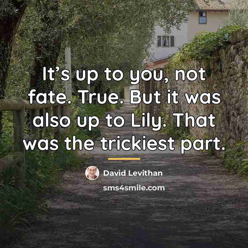 “It’s up to you, not fate. True. But it was…” quote by David Levithan