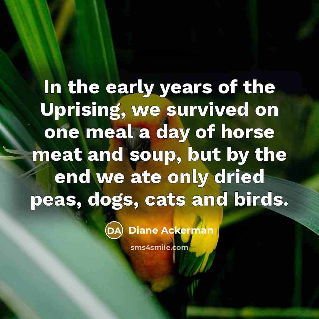 “In the early years of the Uprising, we survived on…” quote by Diane Ackerman