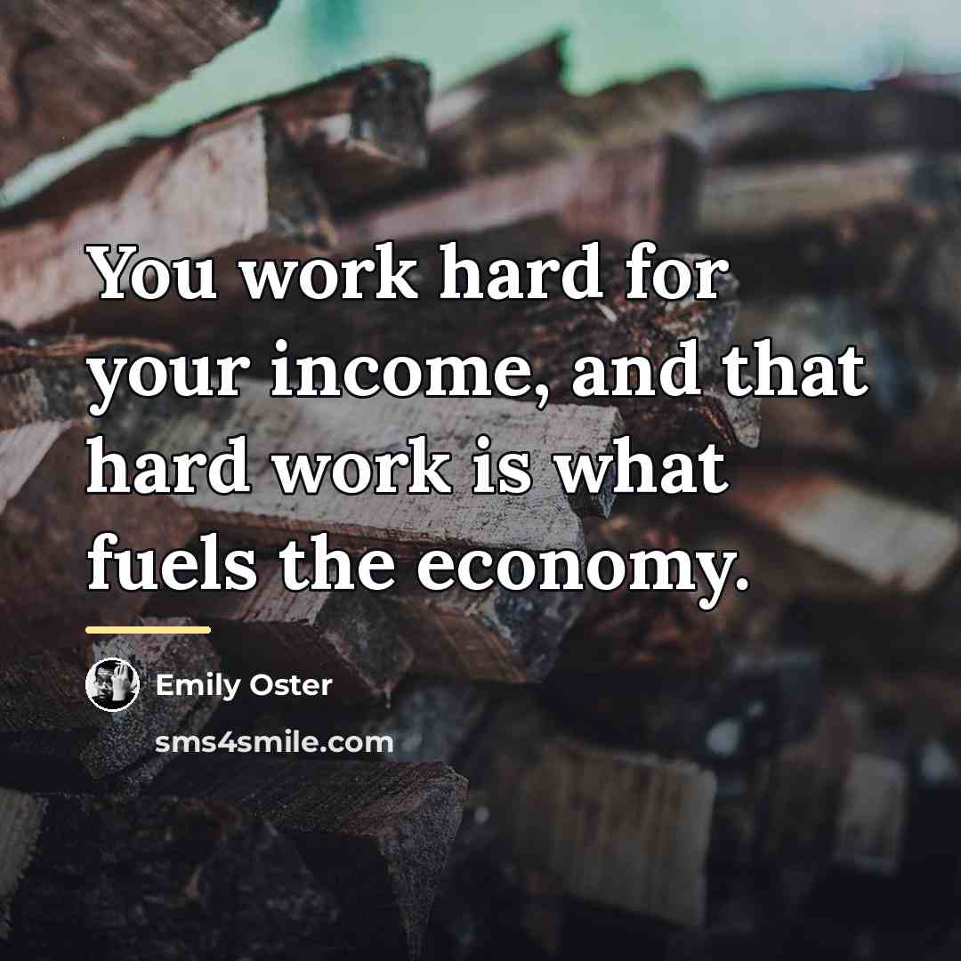 “You work hard for your income, and that hard work…” quote by Emily Oster