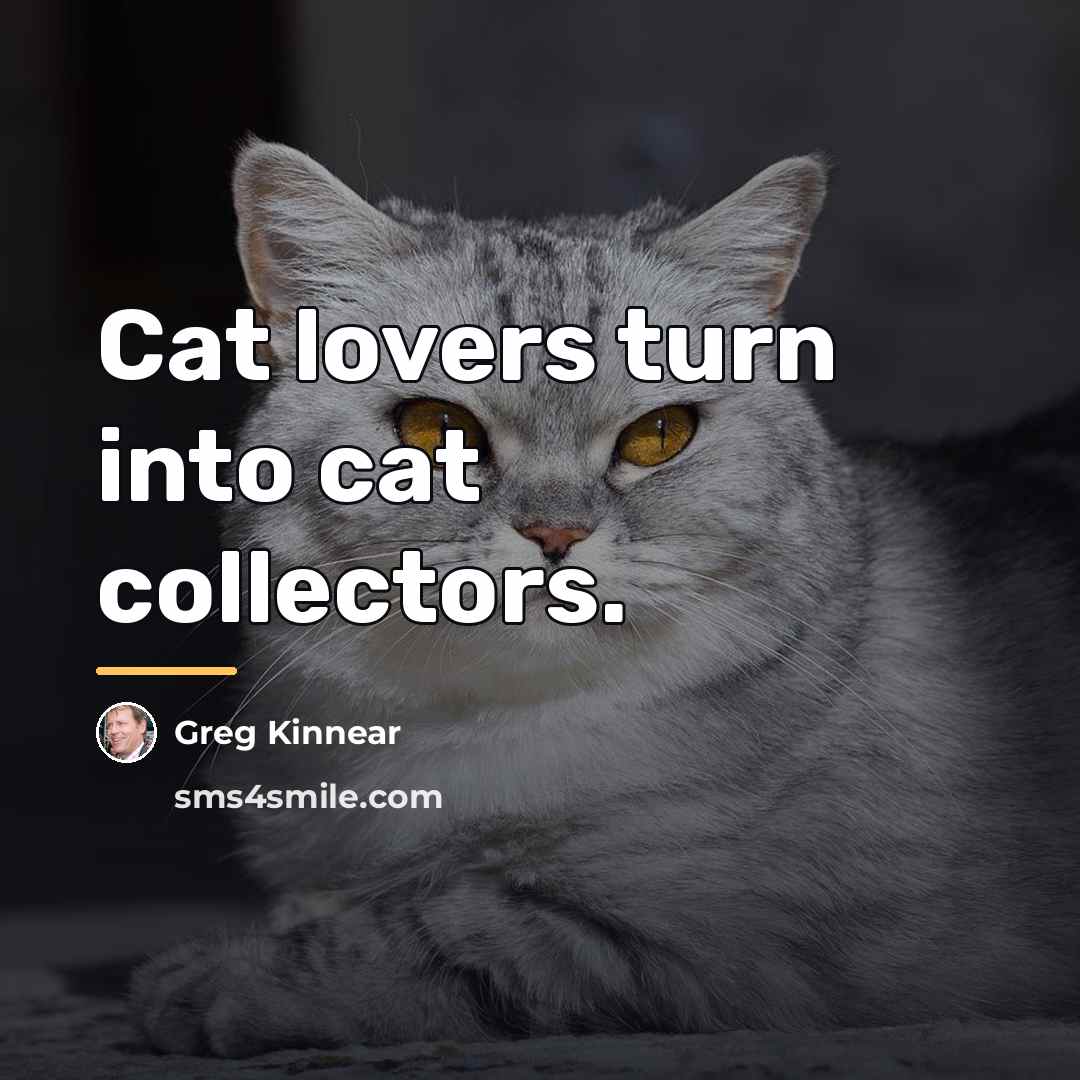 “Cat lovers turn into cat collectors.…” quote by Greg Kinnear