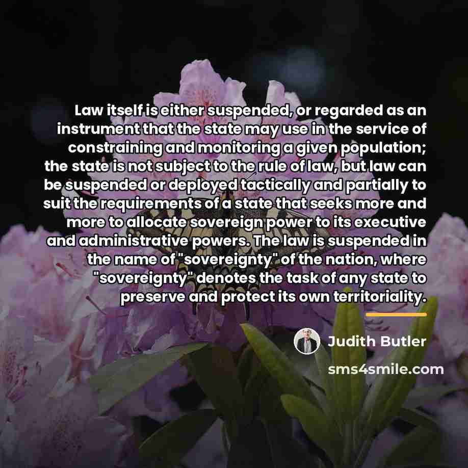 “Law itself is either suspended, or regarded as an instrument…” quote by Judith Butler