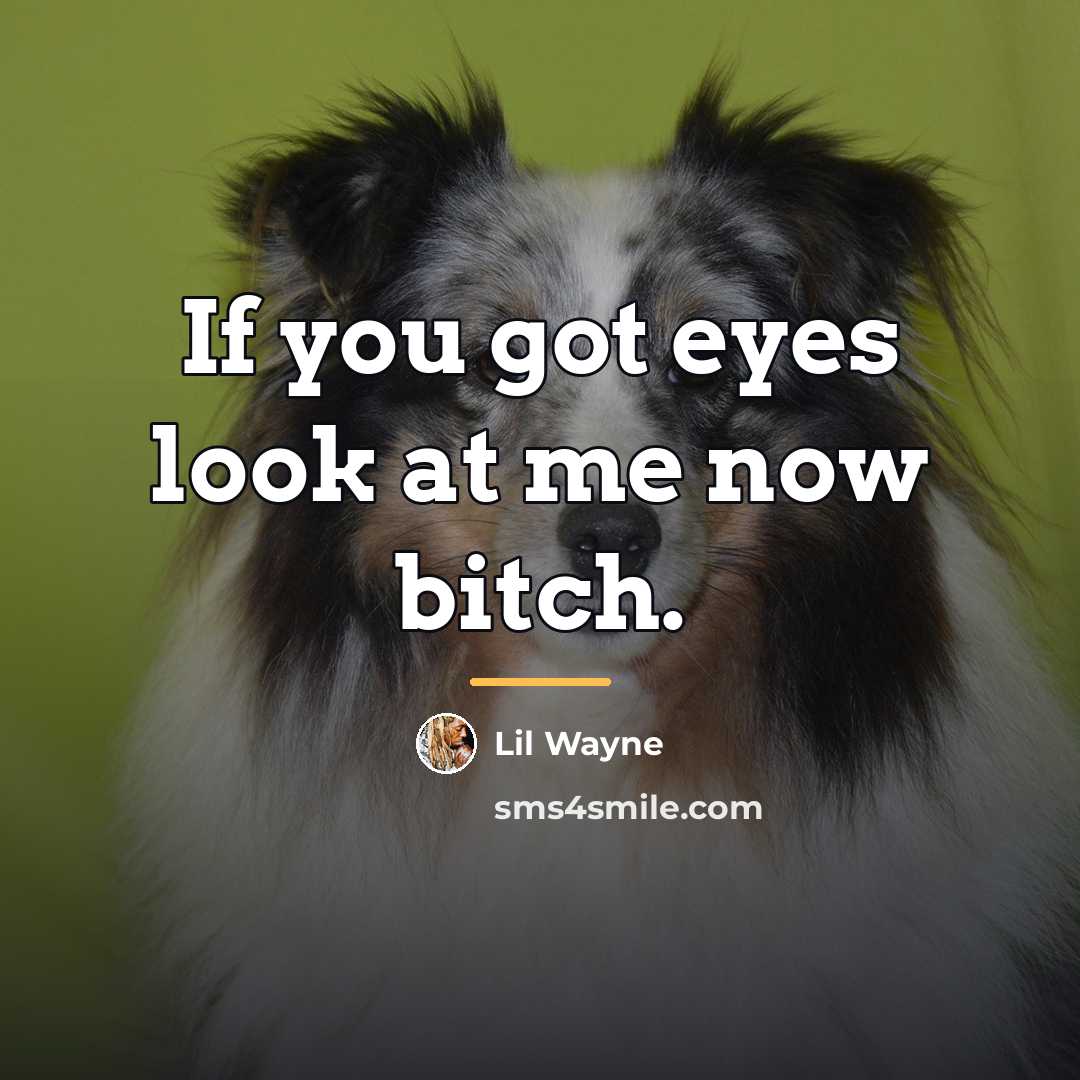“If you got eyes look at me now bitch.…” quote by Lil Wayne