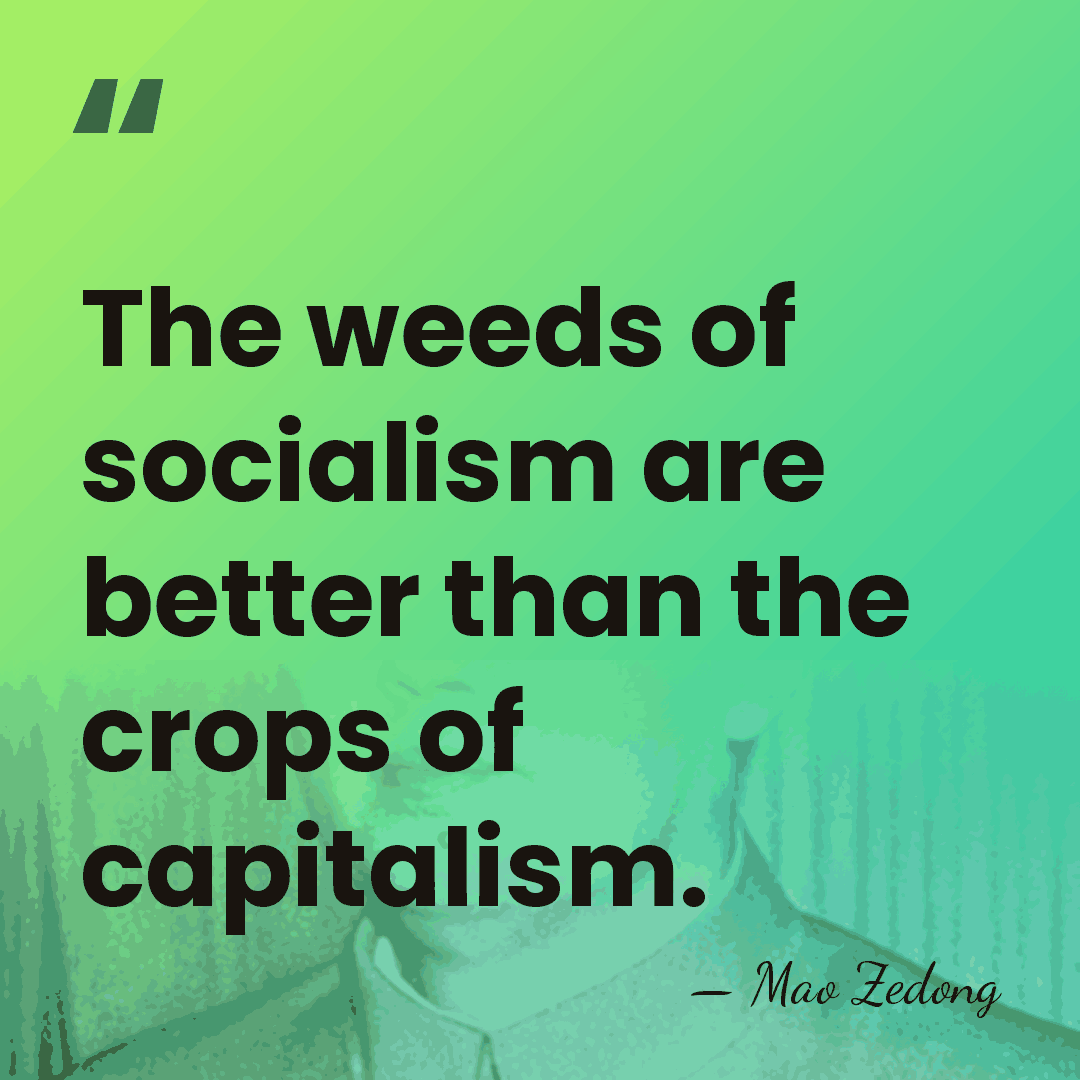 The weeds of socialism are better than the crops of capitalism. - Mao Zedong
