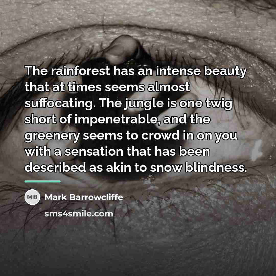 “The rainforest has an intense beauty that at times seems…” quote by Mark Barrowcliffe