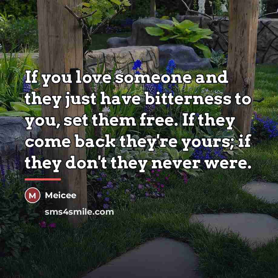 “If you love someone and they just have bitterness to…” quote by Meicee