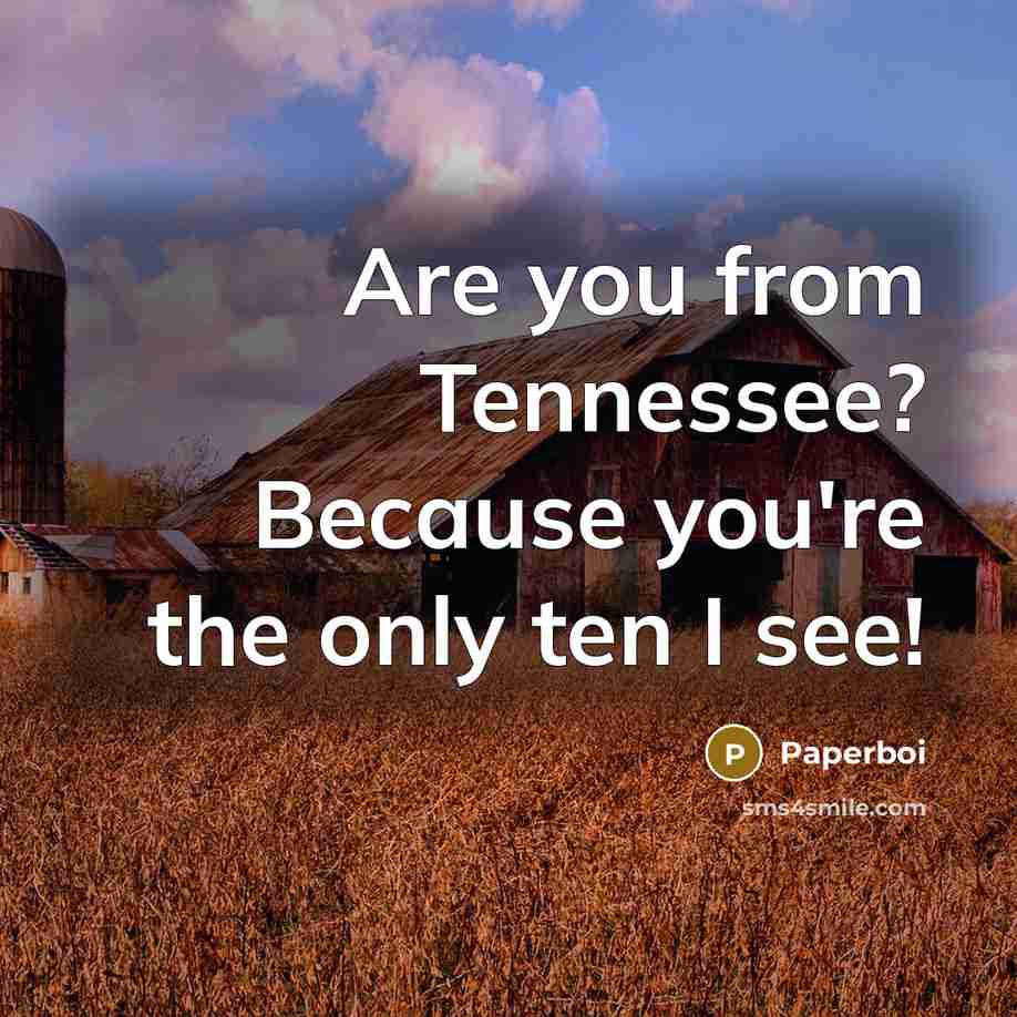 “Are you from Tennessee? Because you're the only ten I…” quote by Paperboi