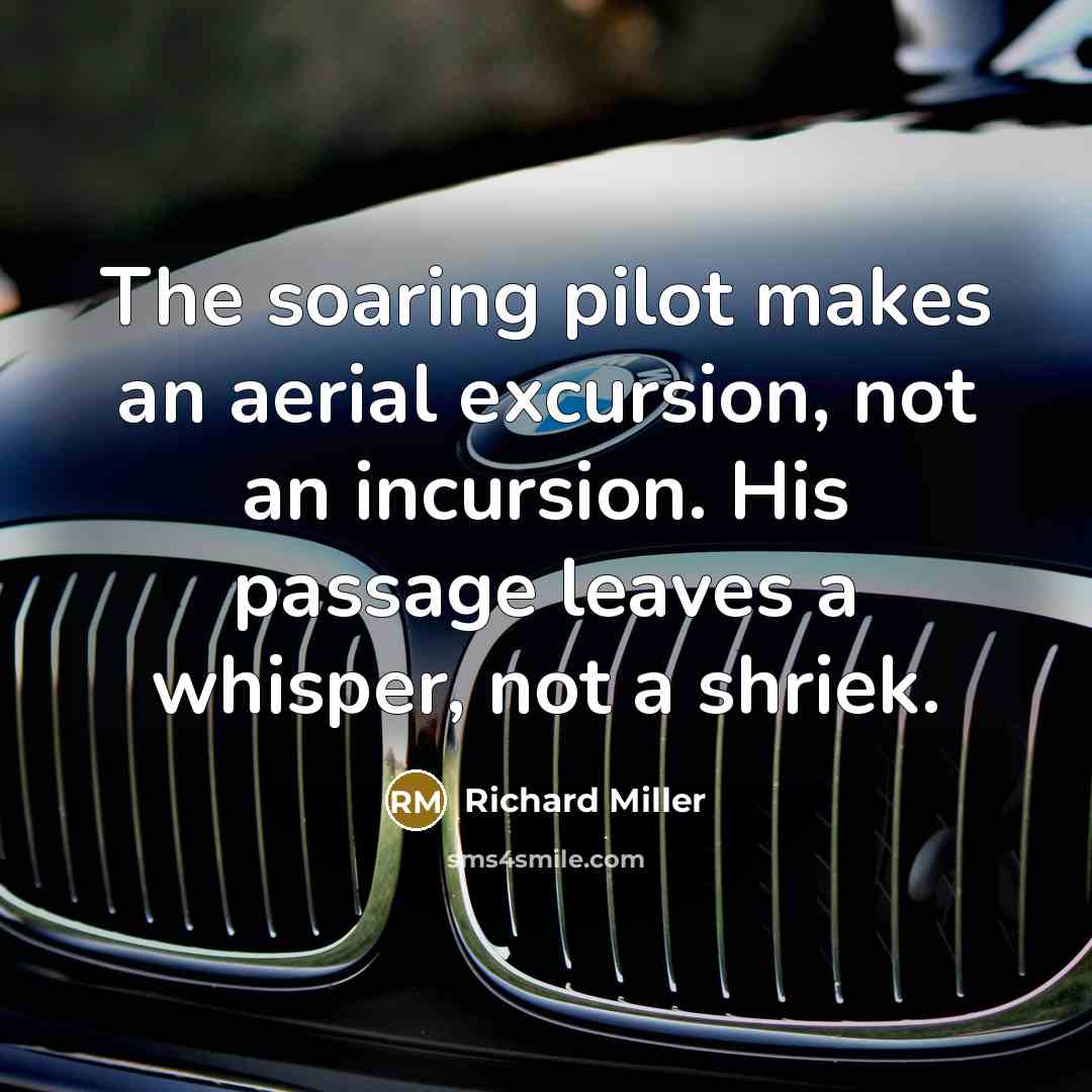 “The soaring pilot makes an aerial excursion, not an incursion.…” quote by Richard Miller