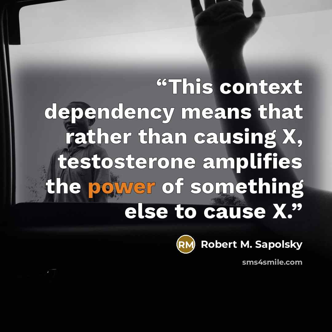 “This context dependency means that rather than causing X, testosterone amplifies the power of something else to cause X.” quote by Robert M. Sapolsky