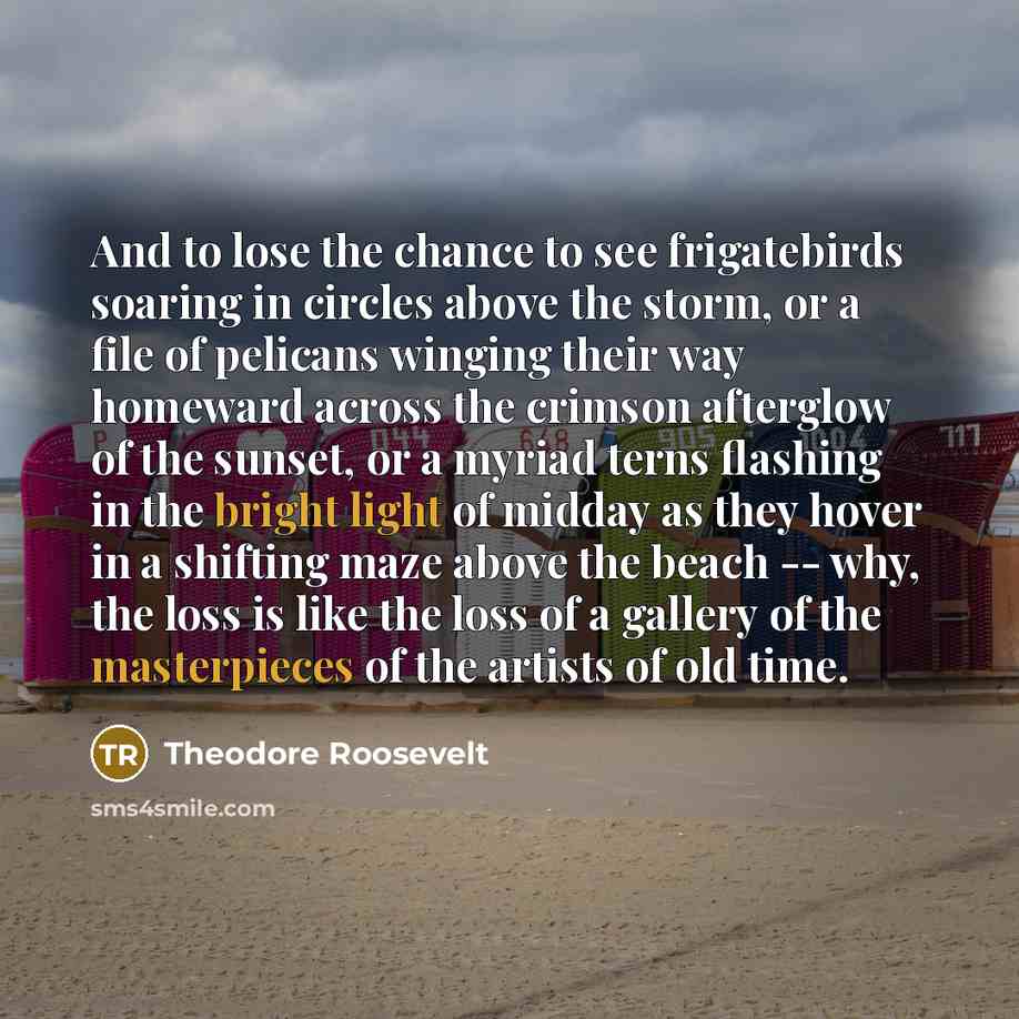 “And to lose the chance to see frigatebirds soaring in…” quote by Theodore Roosevelt