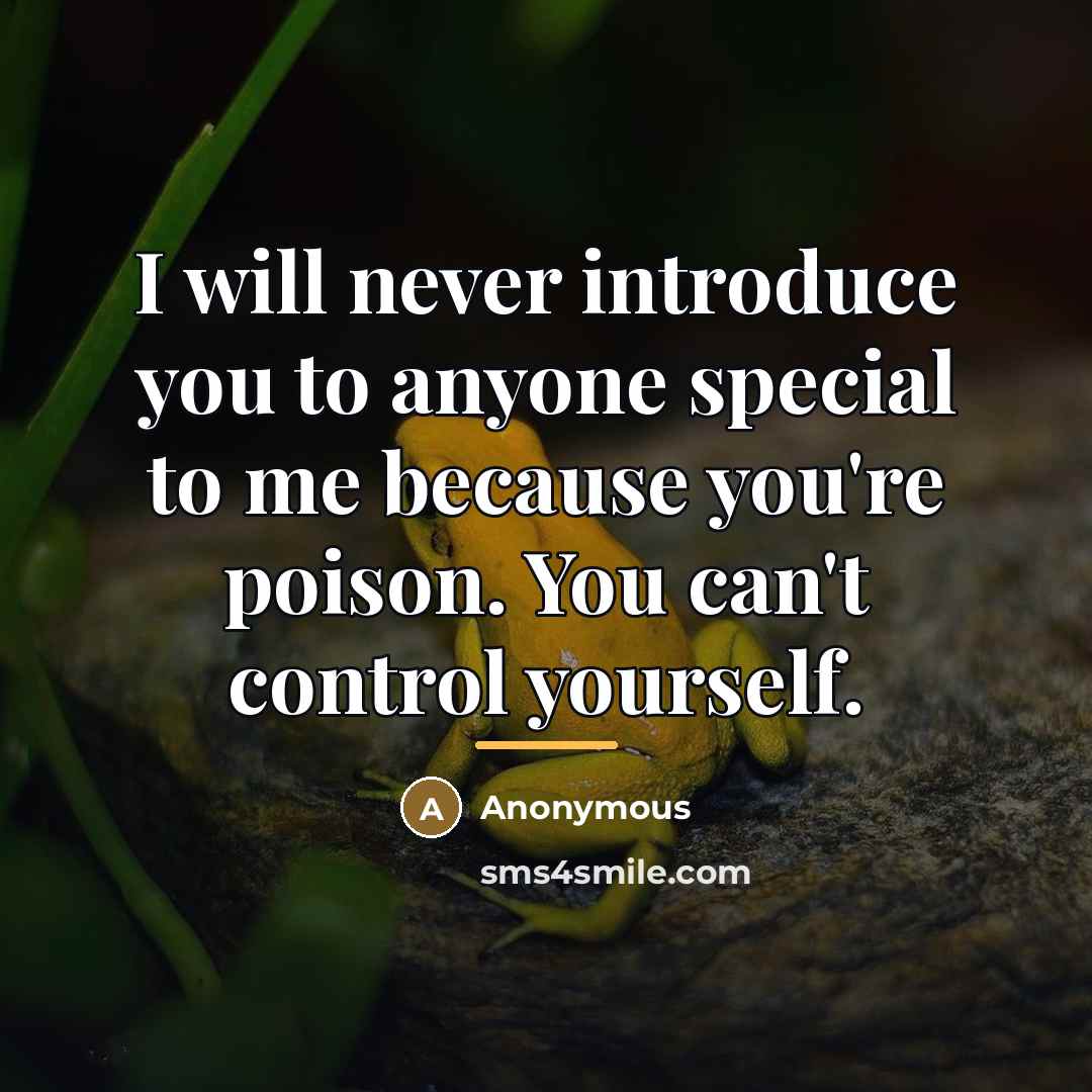 “I will never introduce you to anyone special to me…” quote by Anonymous