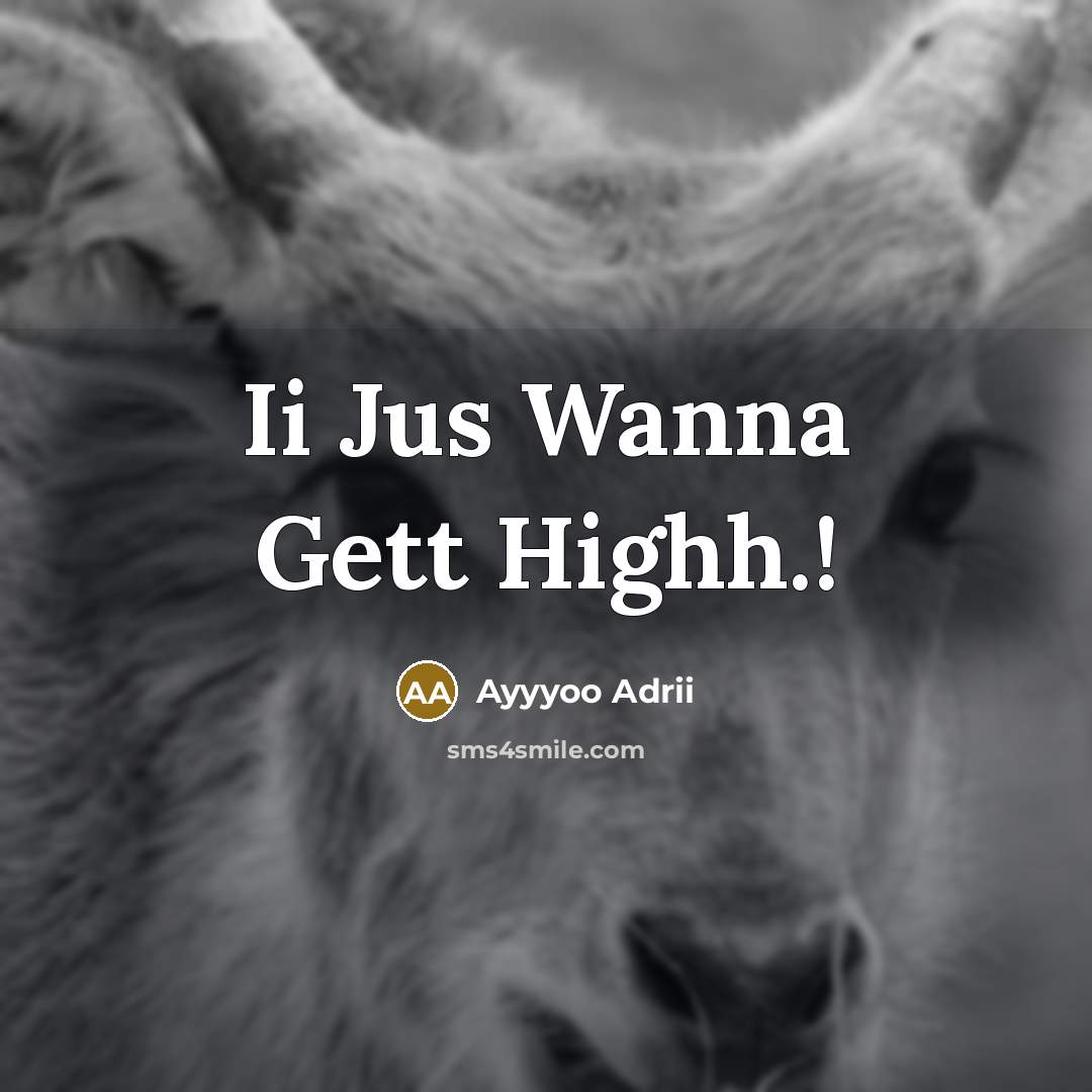 “Ii Jus Wanna Gett Highh.!…” quote by Ayyyoo Adrii