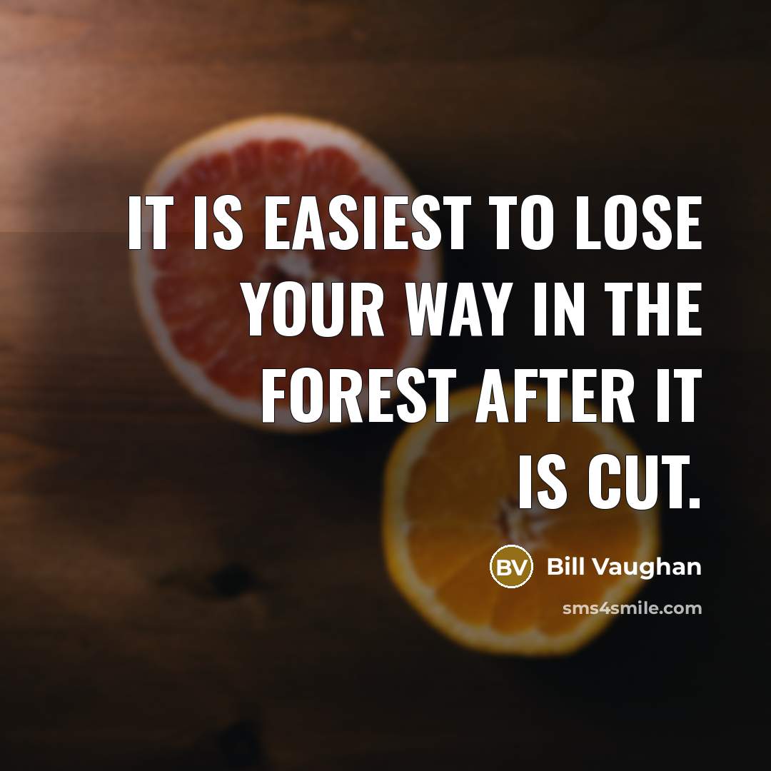 “It is easiest to lose your way in the forest…” quote by Bill Vaughan