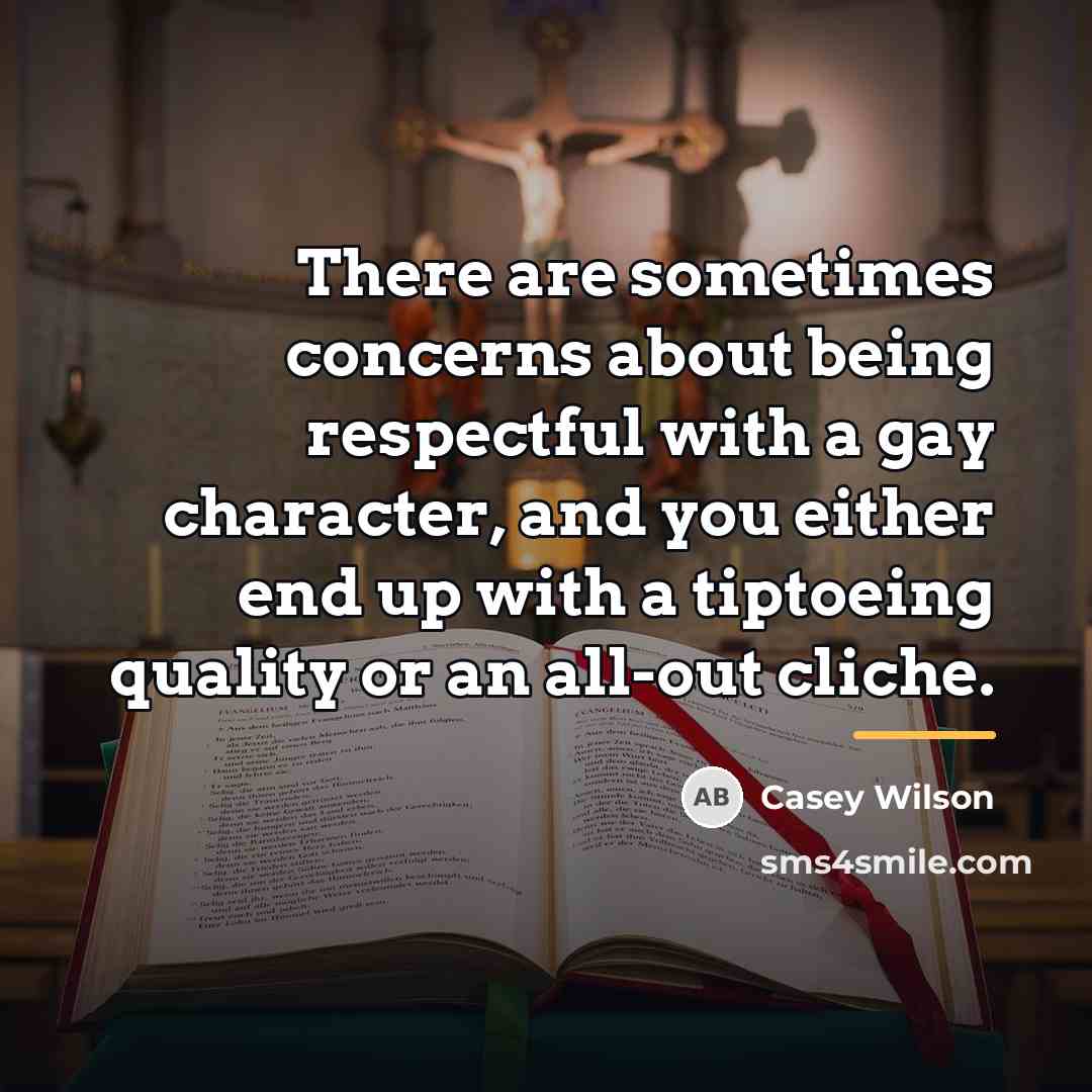 “There are sometimes concerns about being respectful with a gay…” quote by Casey Wilson