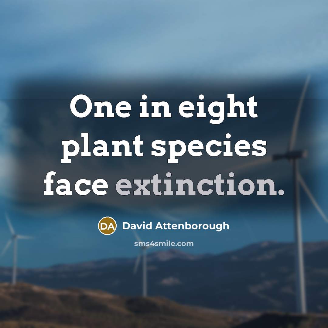 “One in eight plant species face extinction.…” quote by David Attenborough