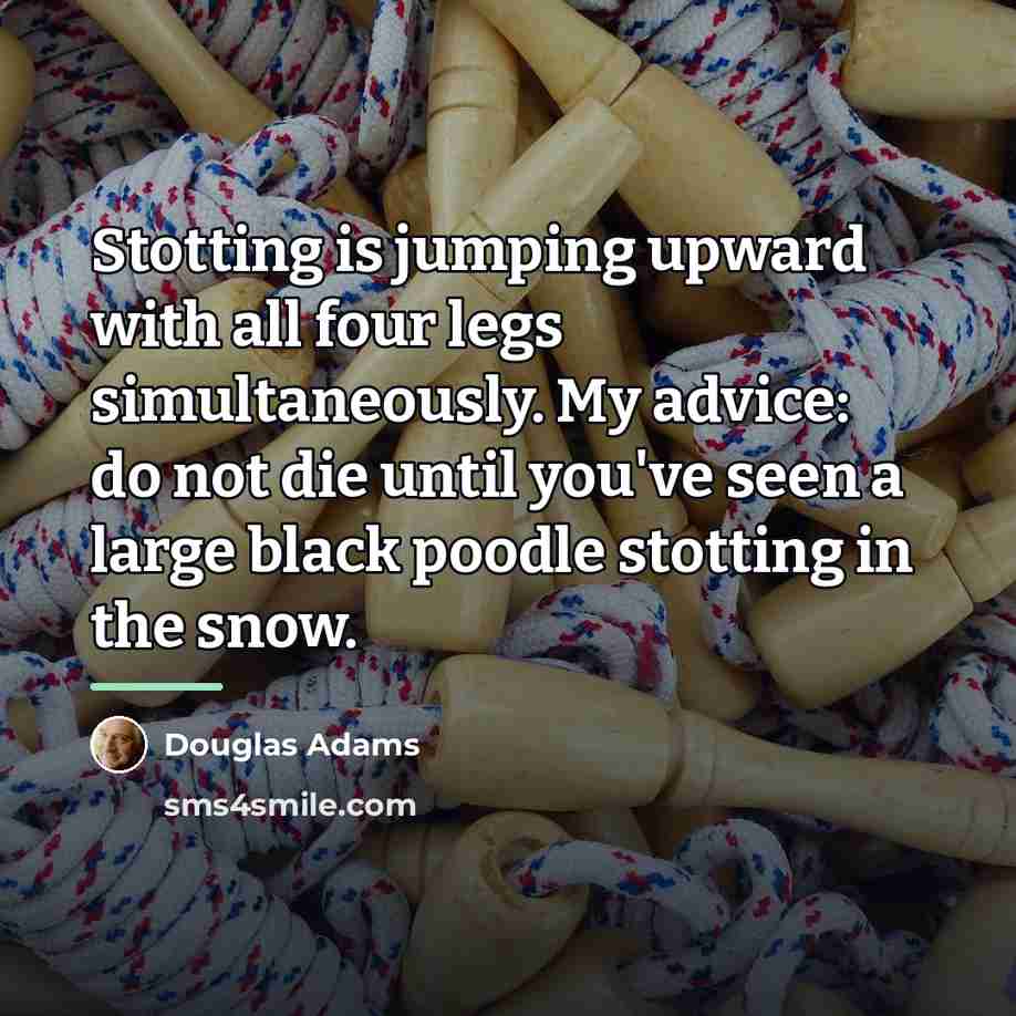 “Stotting is jumping upward with all four legs simultaneously. My…” quote by Douglas Adams