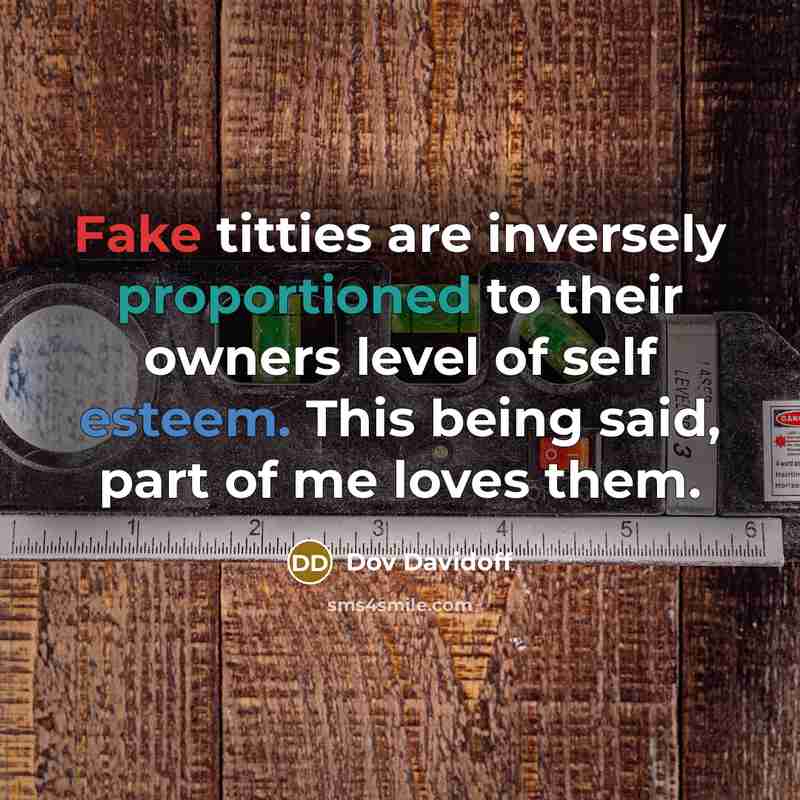 “Fake titties are inversely proportioned to their owners level of self esteem. This being said, part of me loves them.” quote by Dov Davidoff