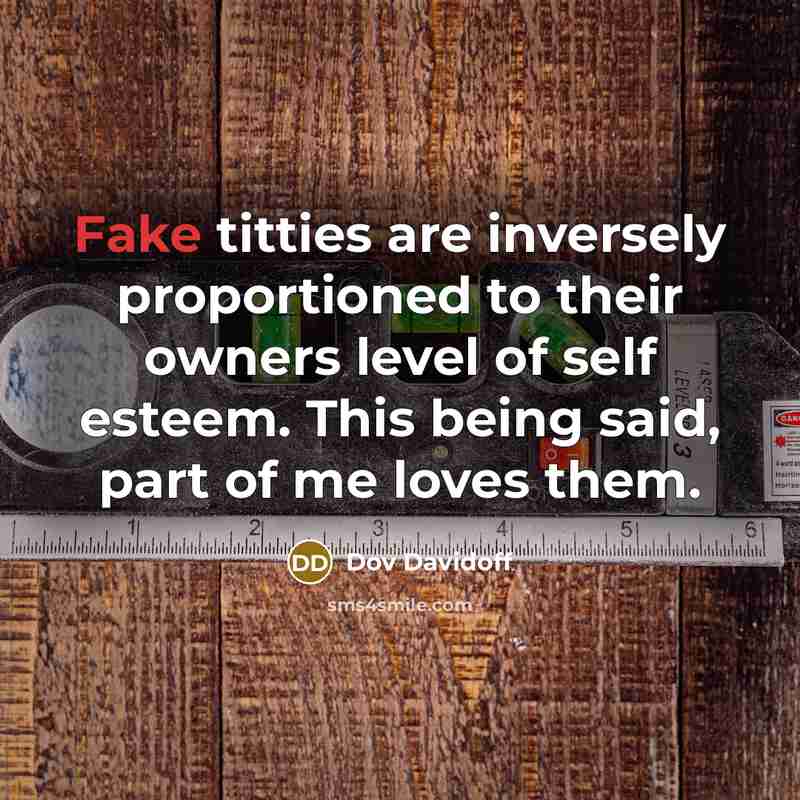 “Fake titties are inversely proportioned to their owners level of…” quote by Dov Davidoff