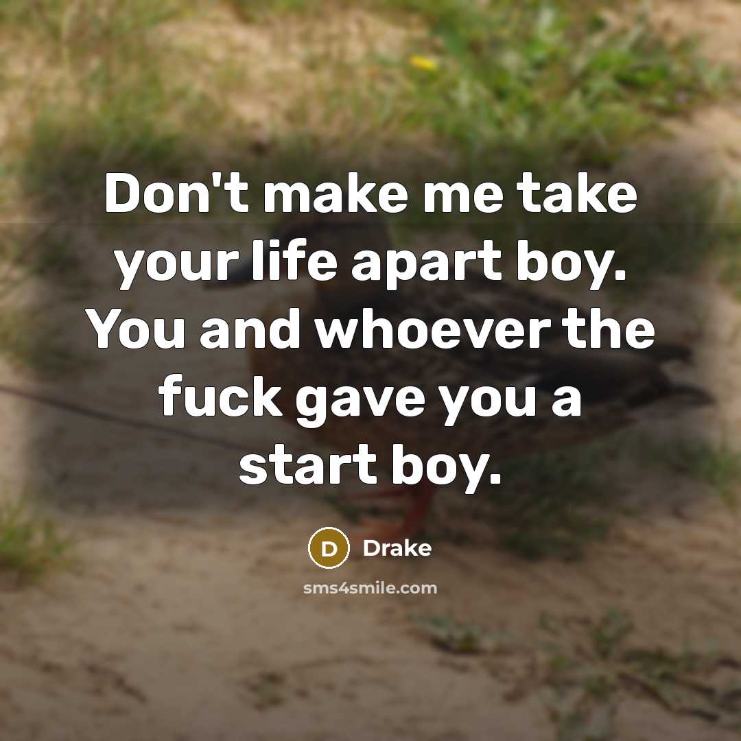 “Don't make me take your life apart boy. You and whoever the fuck gave you a start boy.” quote by Drake