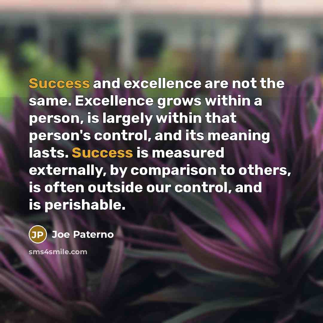 “Success and excellence are not the same. Excellence grows within…” quote by Joe Paterno