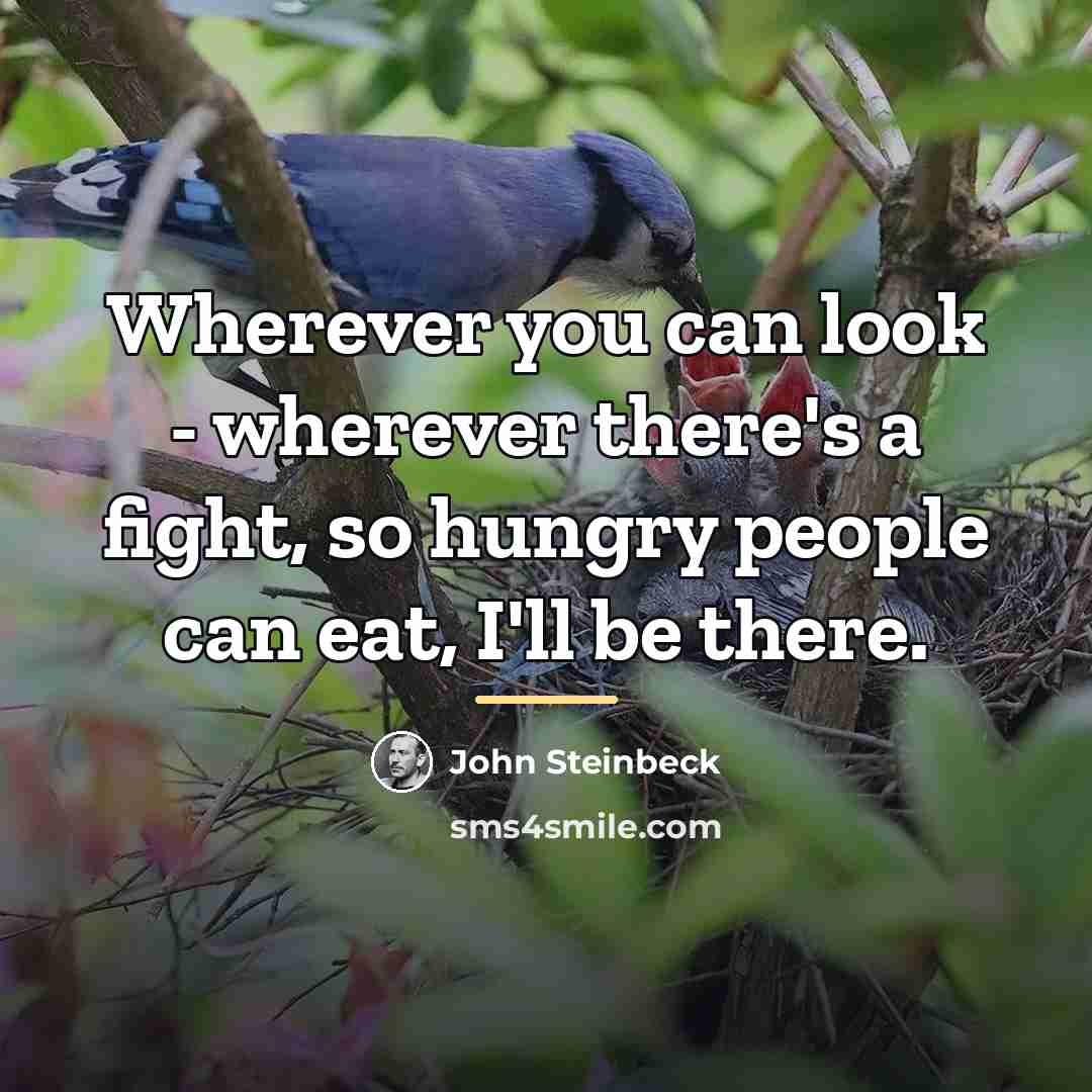 “Wherever you can look - wherever there's a fight, so…” quote by John Steinbeck