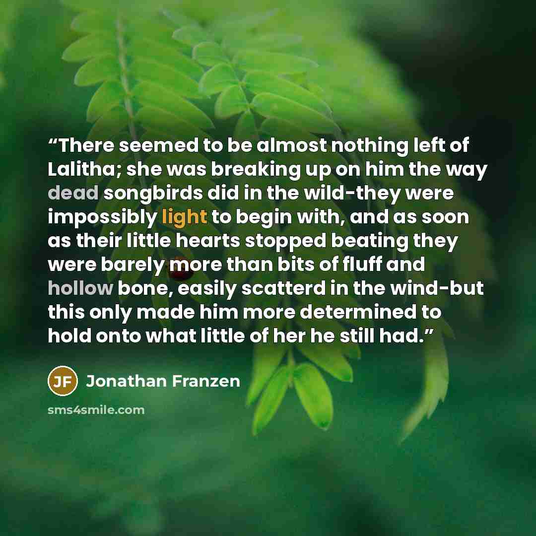 “There seemed to be almost nothing left of Lalitha; she was breaking up on him the way dead songbirds did in the wild-they were impossibly light to begin with, and as soon as their little hearts stopped beating they were barely more than bits of fluff and hollow bone, easily scatterd in the…” quote by Jonathan Franzen
