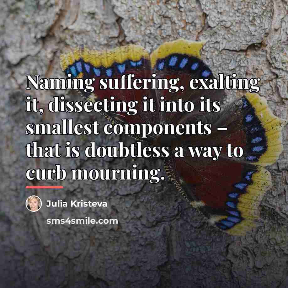 “Naming suffering, exalting it, dissecting it into its smallest components…” quote by Julia Kristeva