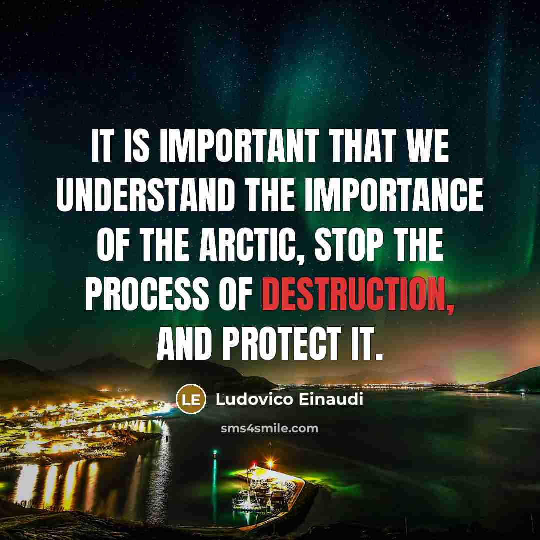 “It is important that we understand the importance of the…” quote by Ludovico Einaudi