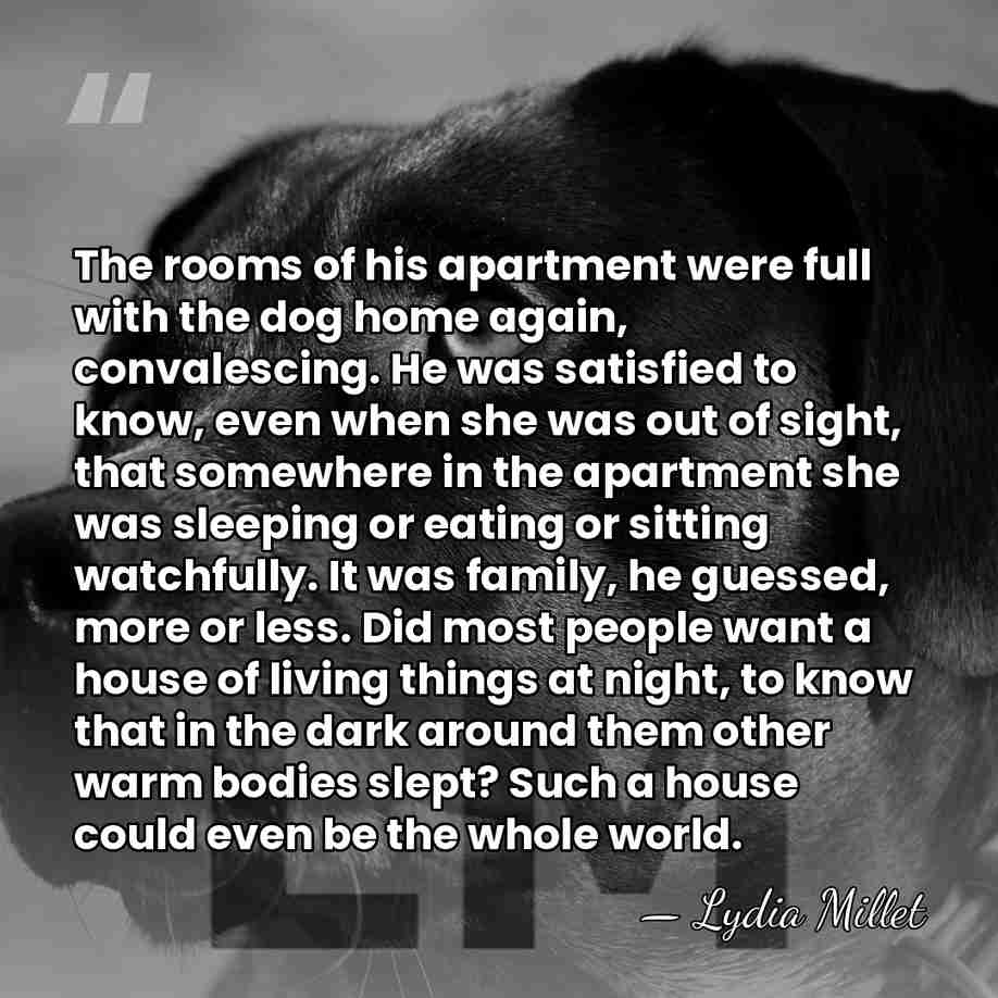 The rooms of his apartment were full with the dog home again,&hellip; - Lydia Millet