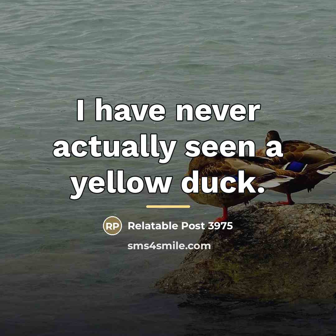 “I have never actually seen a yellow duck.…” quote by Relatable Post 3975