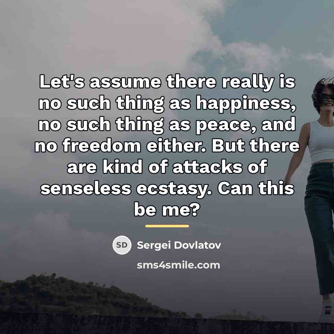 “Let's assume there really is no such thing as happiness,…” quote by Sergei Dovlatov