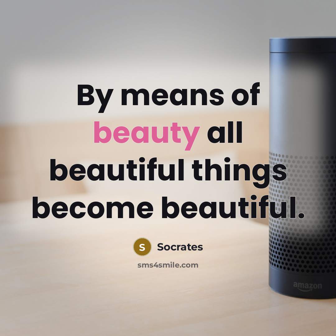 “By means of beauty all beautiful things become beautiful.…” quote by Socrates