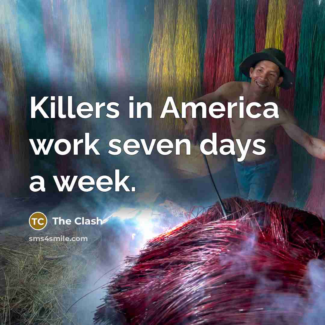 “Killers in America work seven days a week.…” quote by The Clash