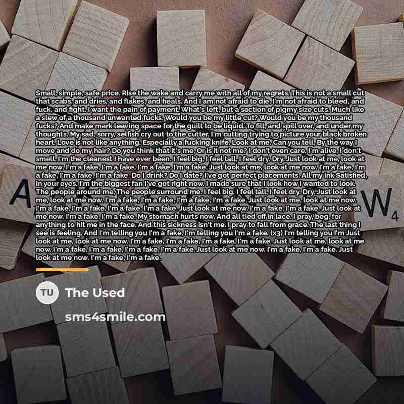 “Small, simple, safe price. Rise the wake and carry me…” quote by The Used