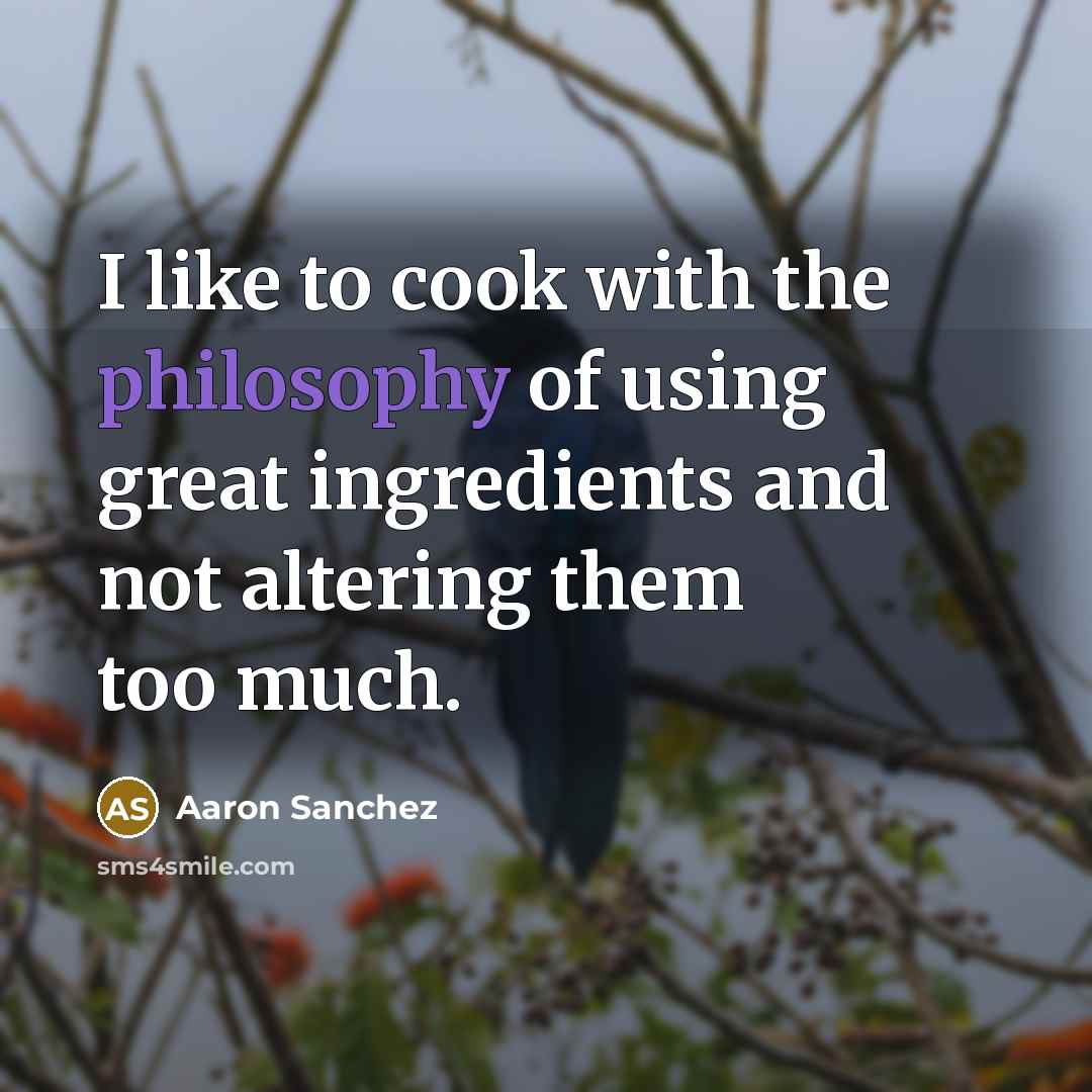 “I like to cook with the philosophy of using great…” quote by Aaron Sanchez