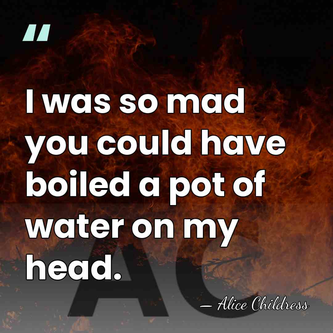 I was so mad you could have boiled a pot of water&hellip; - Alice Childress