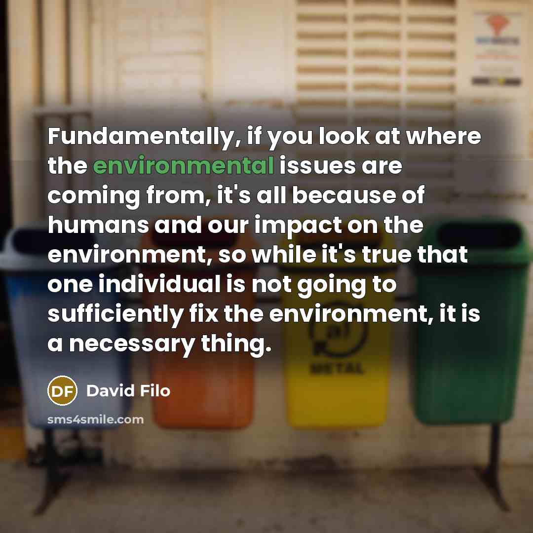 “Fundamentally, if you look at where the environmental issues are…” quote by David Filo