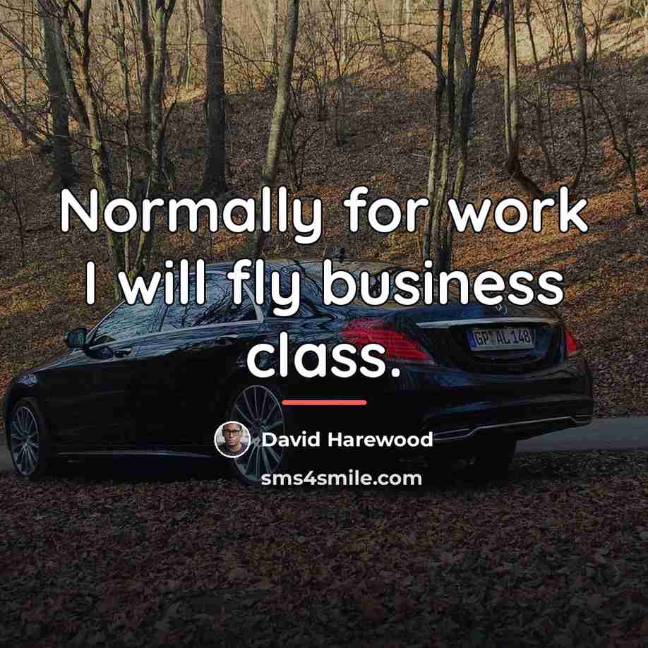 “Normally for work I will fly business class.…” quote by David Harewood