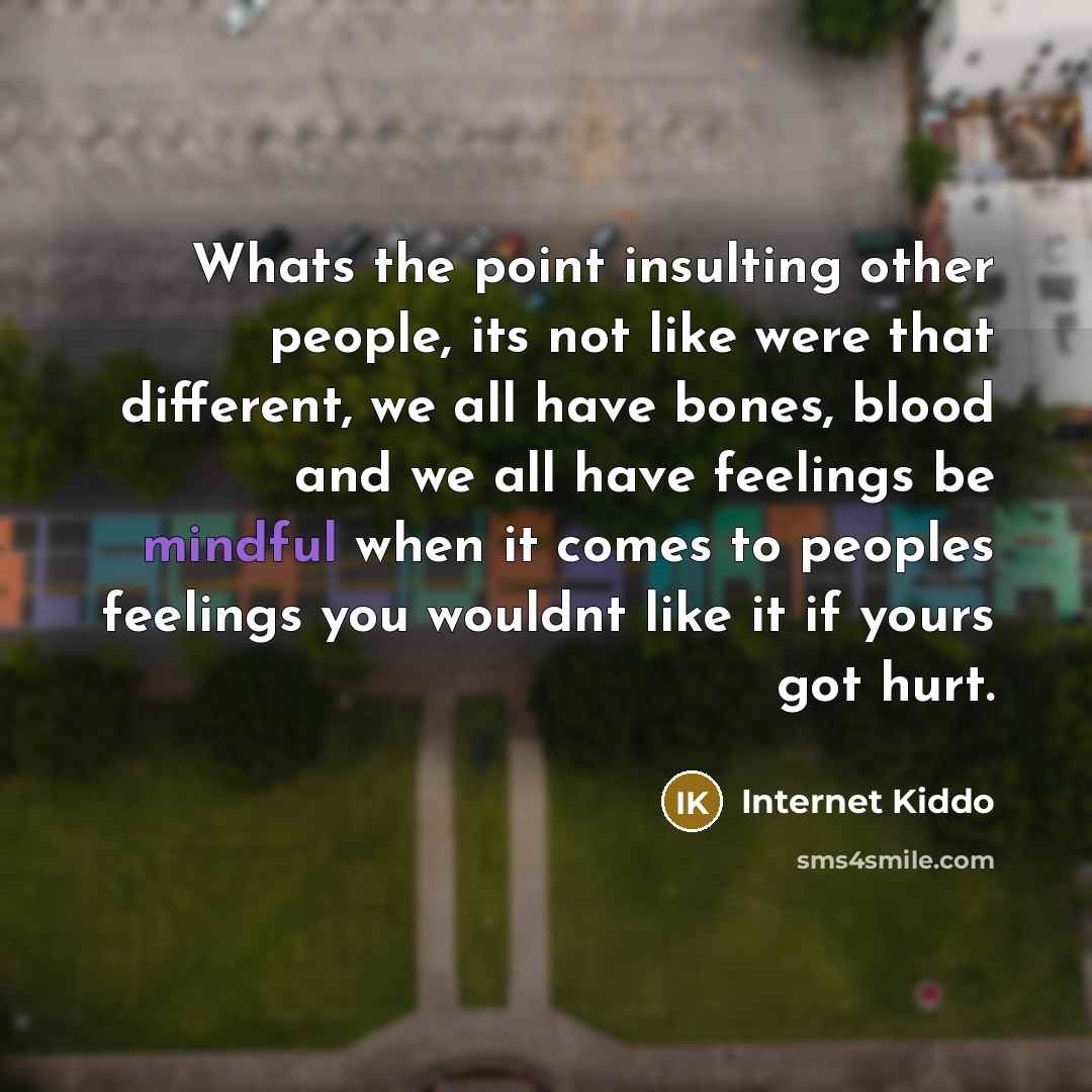 “Whats the point insulting other people, its not like were…” quote by Internet Kiddo